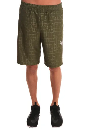 Bermuda Shorts Olive Croc