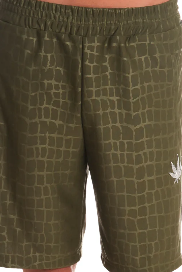 Bermuda Shorts Olive Croc